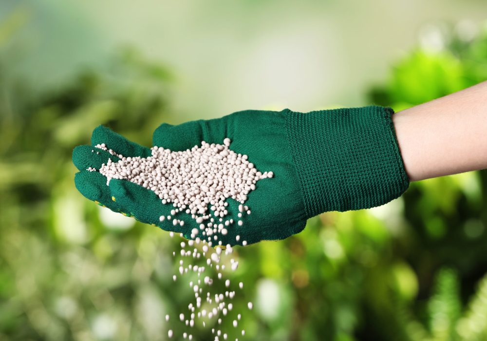 Woman in glove pouring fertilizer on blurred background, closeup. Gardening time